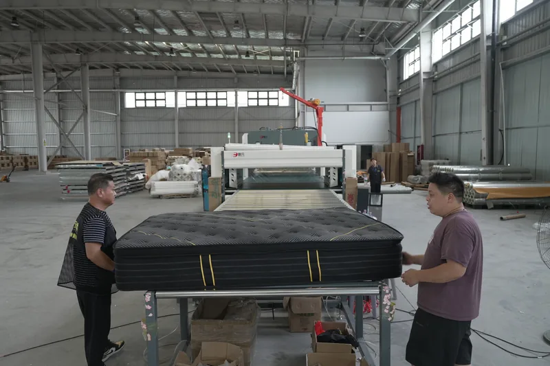 Quality inspection and export